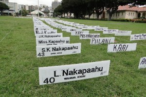 Photo by Lynette Cruz